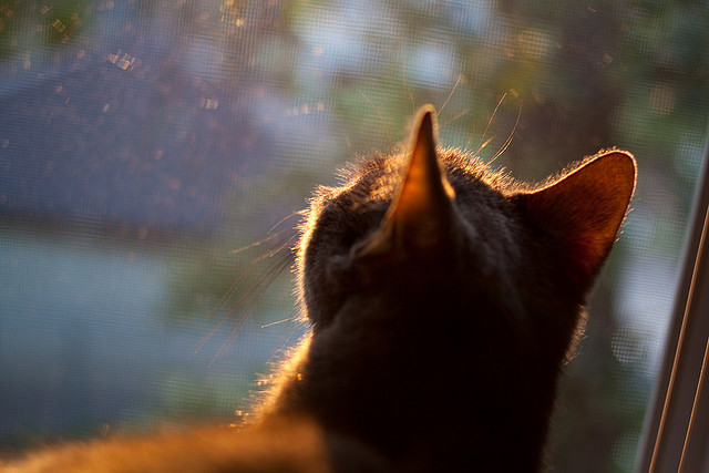 _户外水上冒险节：探索未知水域_，户外水上项目