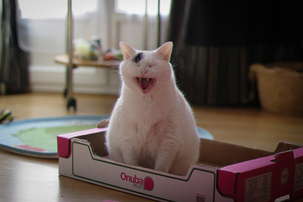 _科技引领的全民跑步：穿越虚拟世界的挑战_，虚拟现实跑步