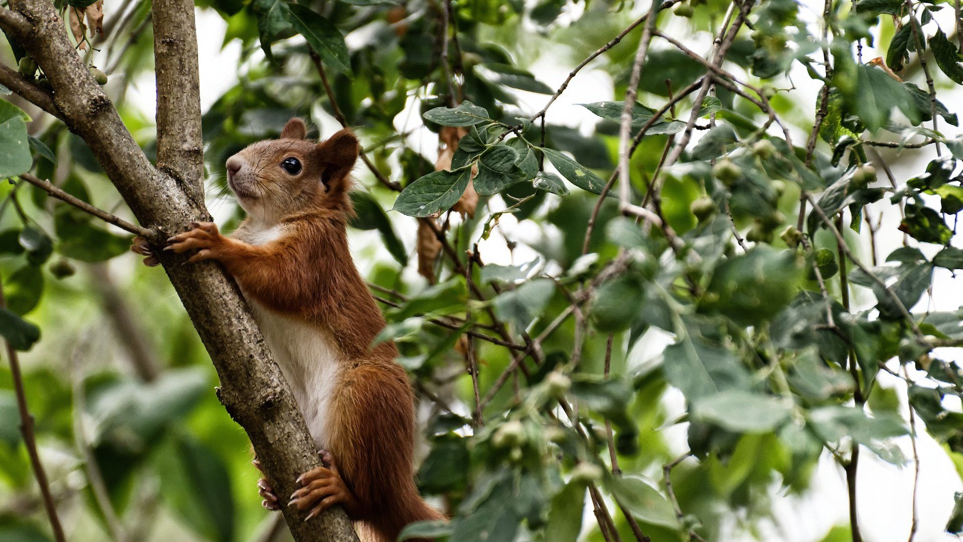 _科技引领的全民跑步：穿越虚拟世界的挑战_，虚拟现实跑步