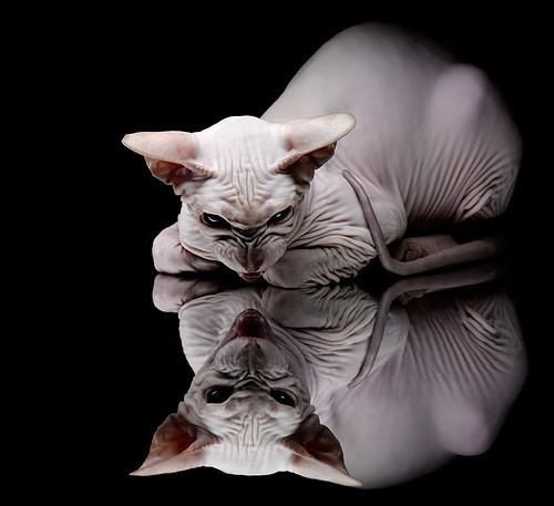 “万众瞩目的季后赛首轮大战，冠军悬念再升级”，季后赛首轮几场