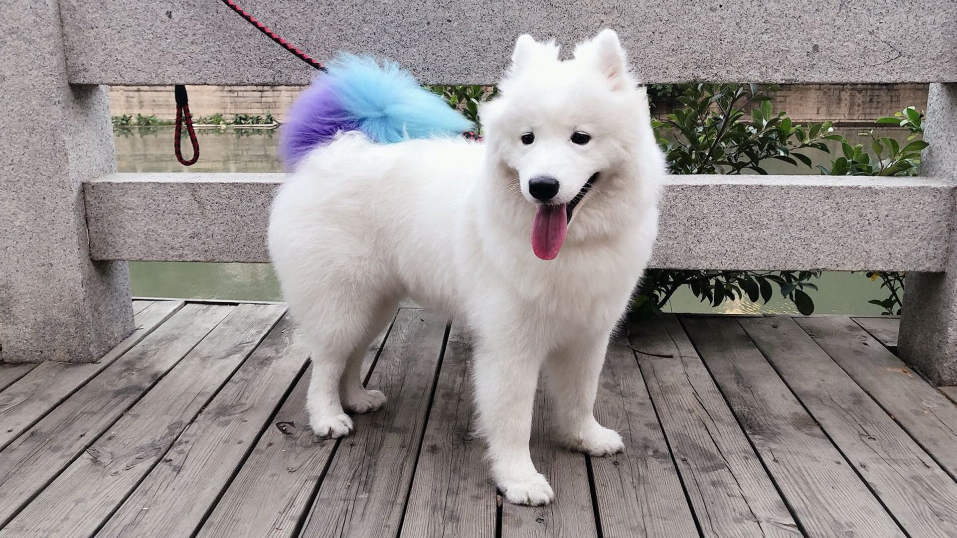 kaiyun sports safe-“攻防对决：顶级战术的激烈较量”，攻防什么