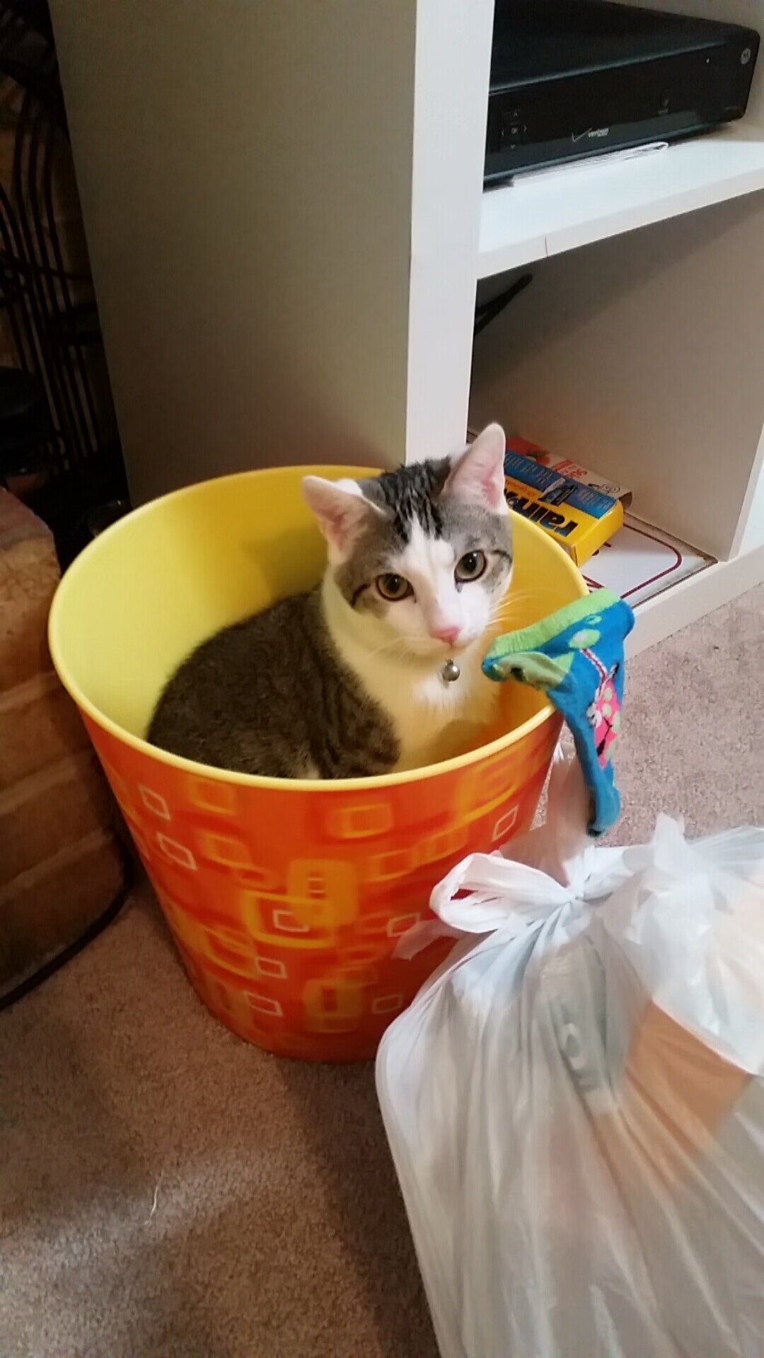 【规则争议】裁决引发争议的关键点解析，裁决规程