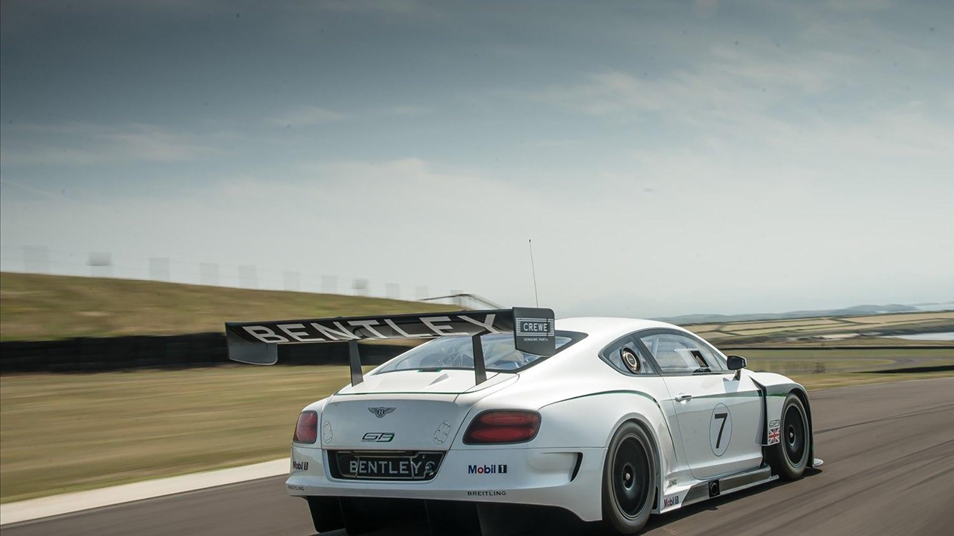 开云体育网址-伊朗马术协会授予阿里·巴赫蒂亚里“年度最佳障碍赛骑手”称号。