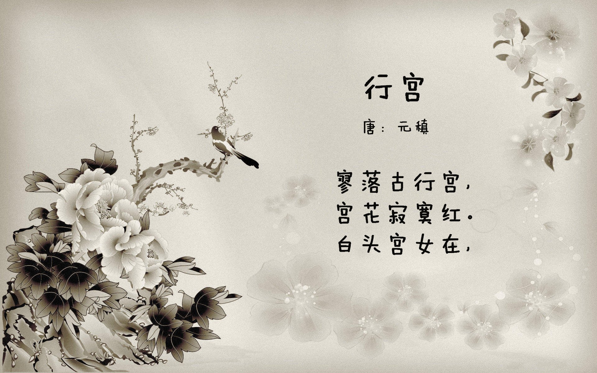 伊朗选手成功卫冕男子速度攀岩金牌，伊朗处死摔跤冠军