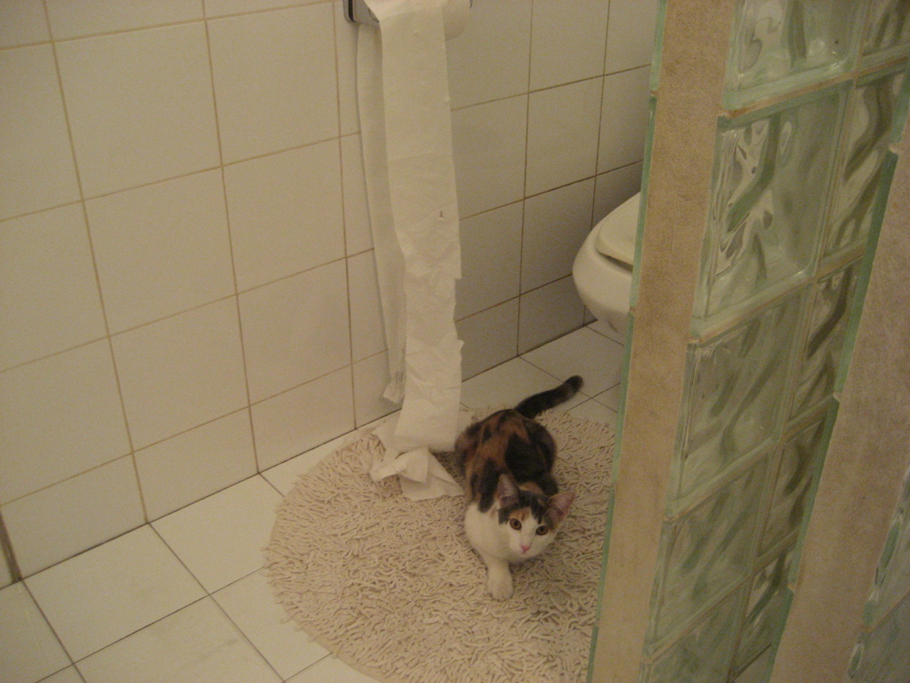 传奇战队重整旗鼓,揭秘冠军背后的核心战术和团队文化,传奇战队是什么电视剧