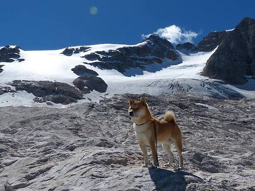 意大利在国家联赛中2-1击败以色列,取得开门红。,意大利队进攻