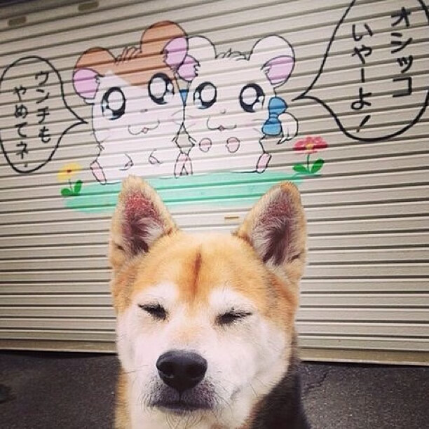 开云体育APP下载-球迷“创意无限”自制作品：带你重温最感动瞬间，自创球技免费