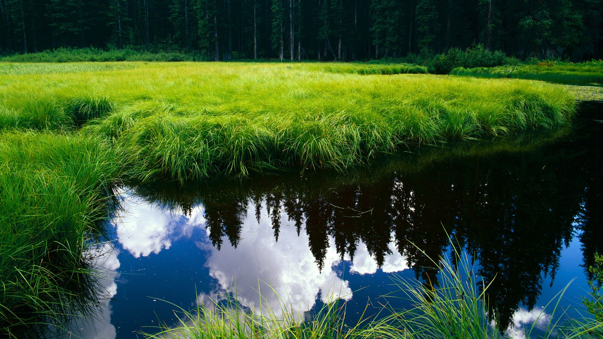 盯紧那些“潜力股”：哪些年轻球员最有可能爆发？，年轻球员最佳阵容