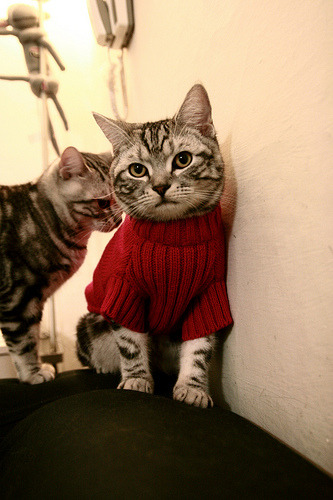 开云体育平台-英超：布莱顿2-2平沃特福德，比赛充满悬念，英超布莱顿对埃弗顿