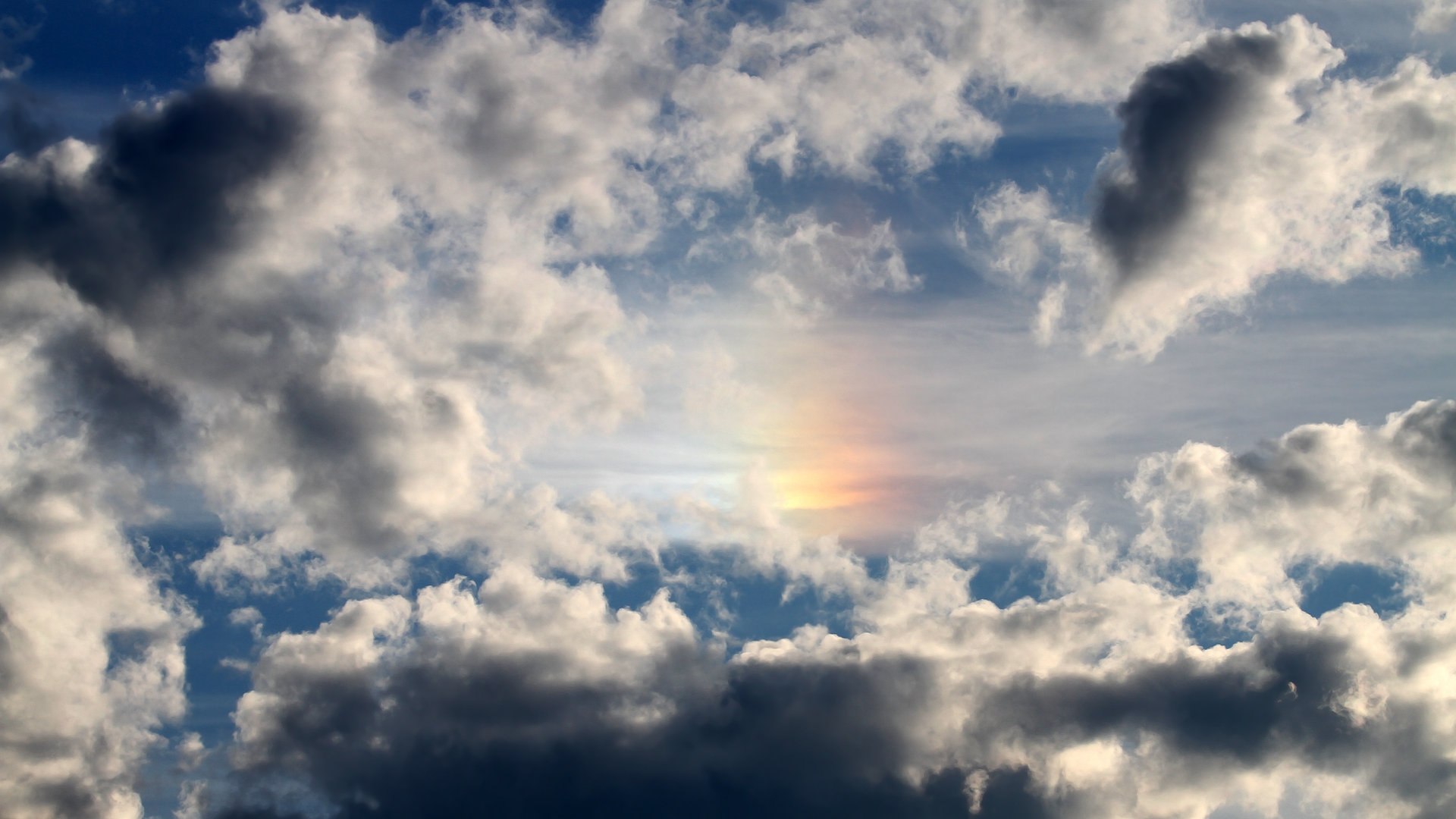 青少年“技能+素养”双提升工程在全国高效推进，行业基础不断夯实