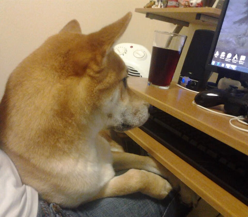 切尔西女足俱乐部管理层发声，切尔西女足池笑然