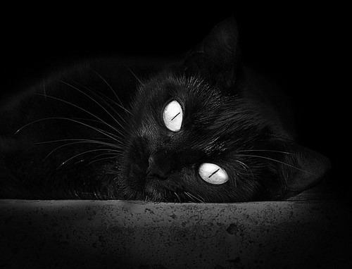 国家队能否通过战术革新激发潜力，国家队如何