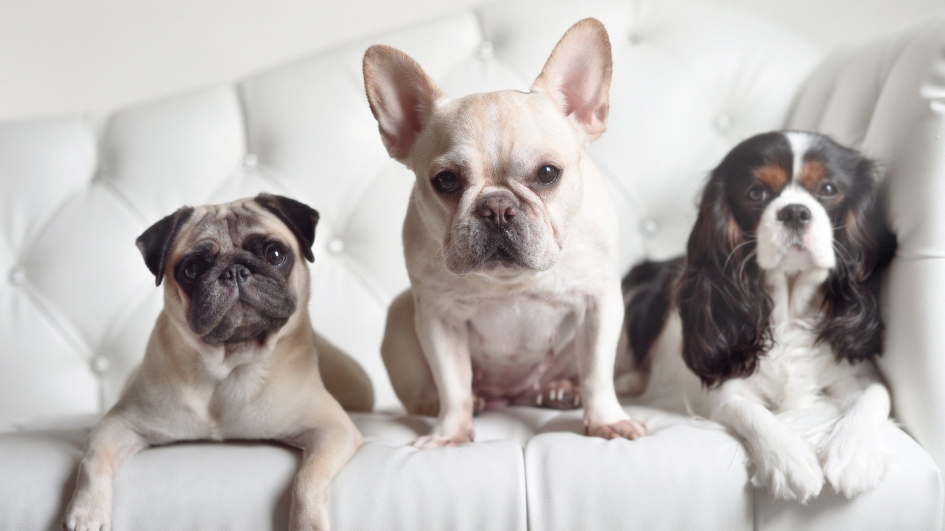 中小学体育课程改革深化成果显著，中小学体育课程改革与发展的现状