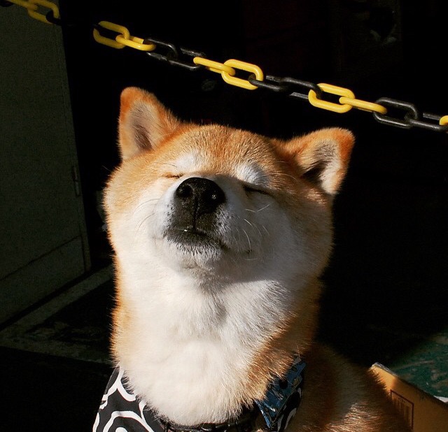 Kysports-体育新闻中心发布青少年体育媒体素养指南，青少年体育素质教育