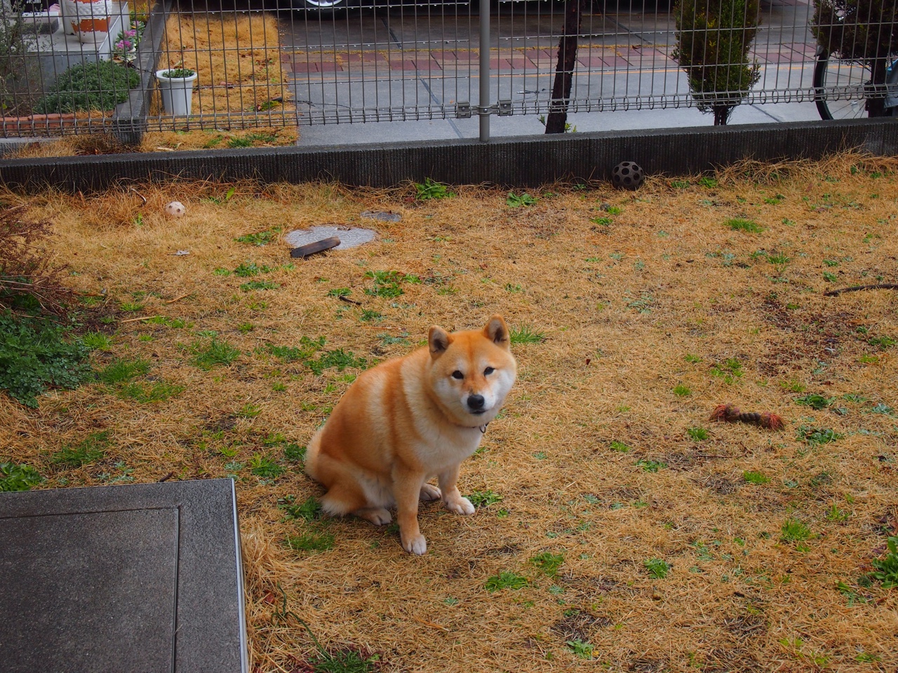 体育新闻中心发布青少年体育媒体素养指南，青少年体育素质教育