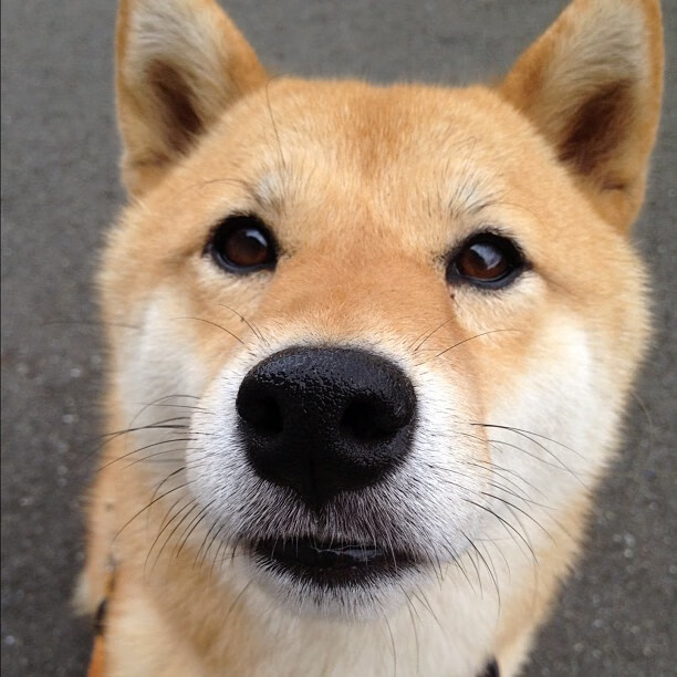 体育新闻中心启动体育数字内容创新孵化项目，中国体育数字创新大赛